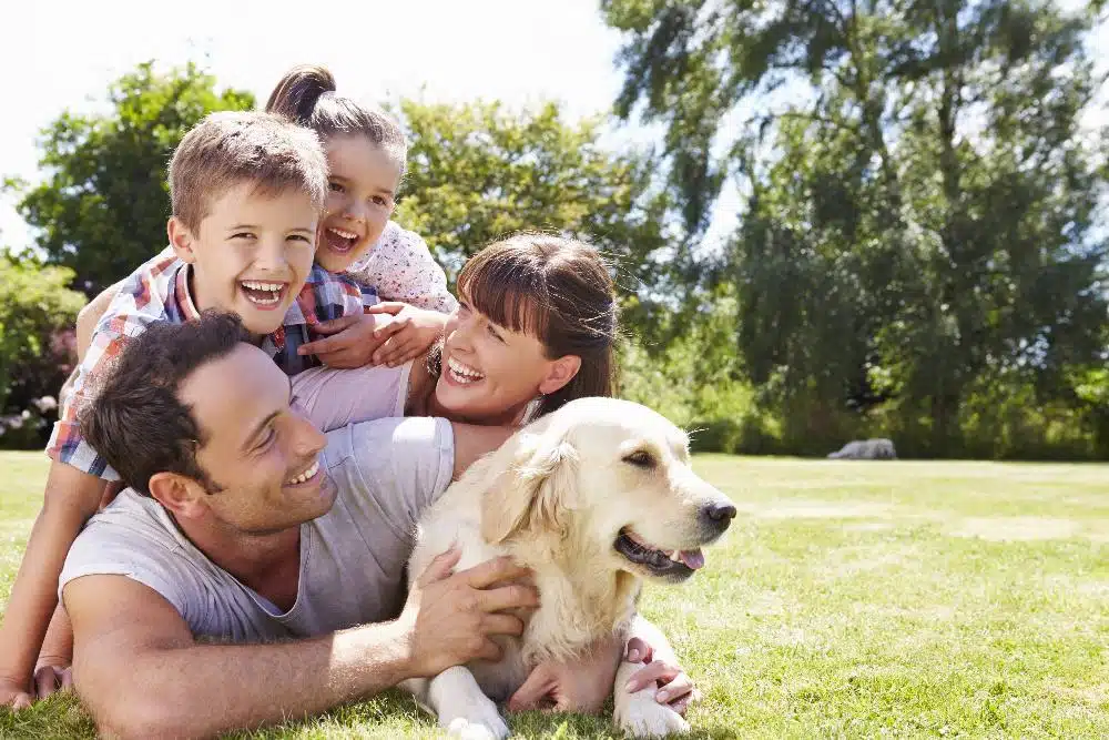 Family with dog playing outdoors in sunny park setting on grass