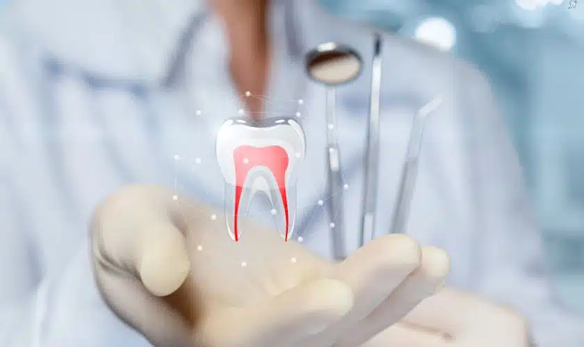 Signs You Might Need a Root Canal
